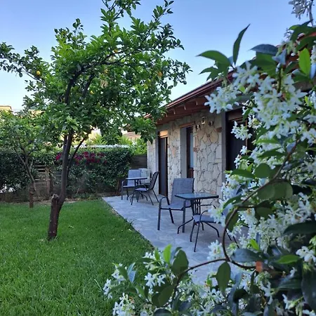 Citrus Garden Apartment *