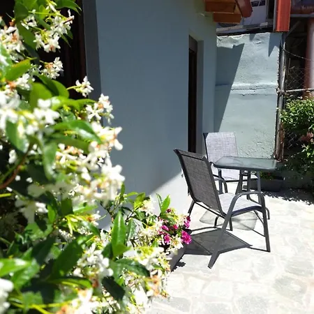 Citrus Garden * Nea Skioni